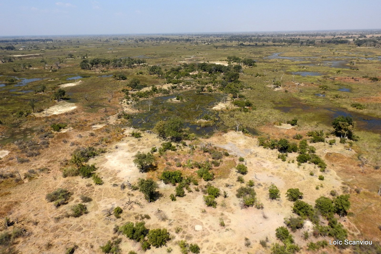 Okavango (94)