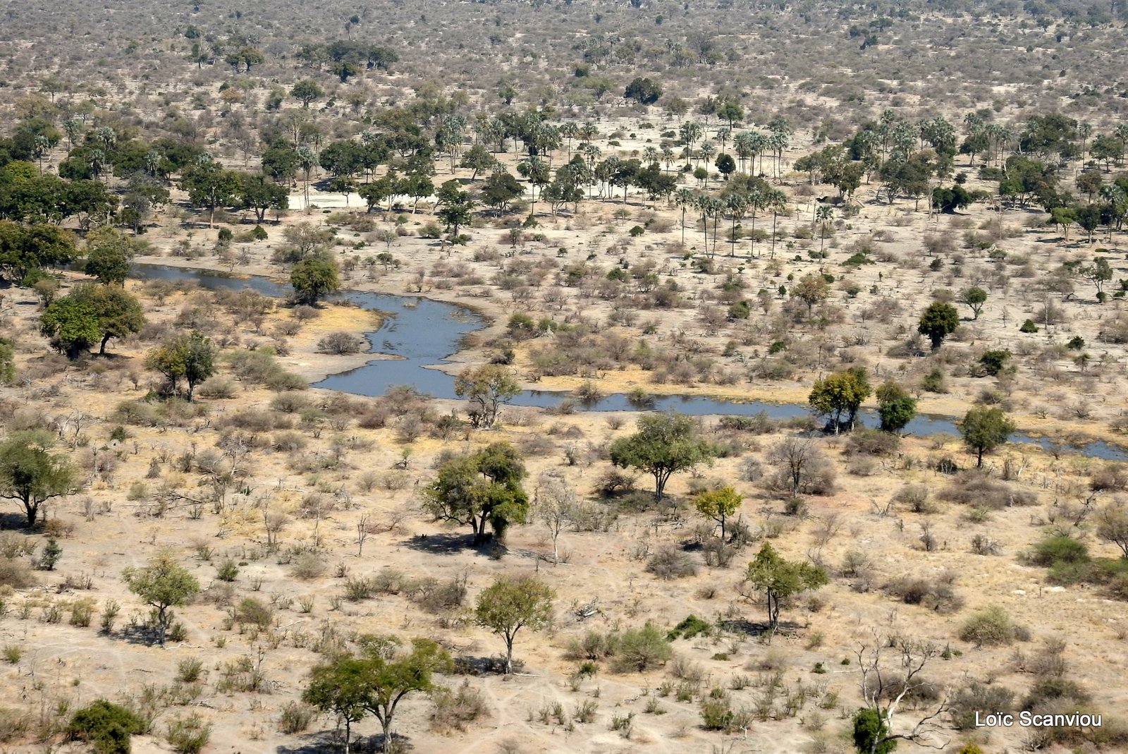 Okavango (97)