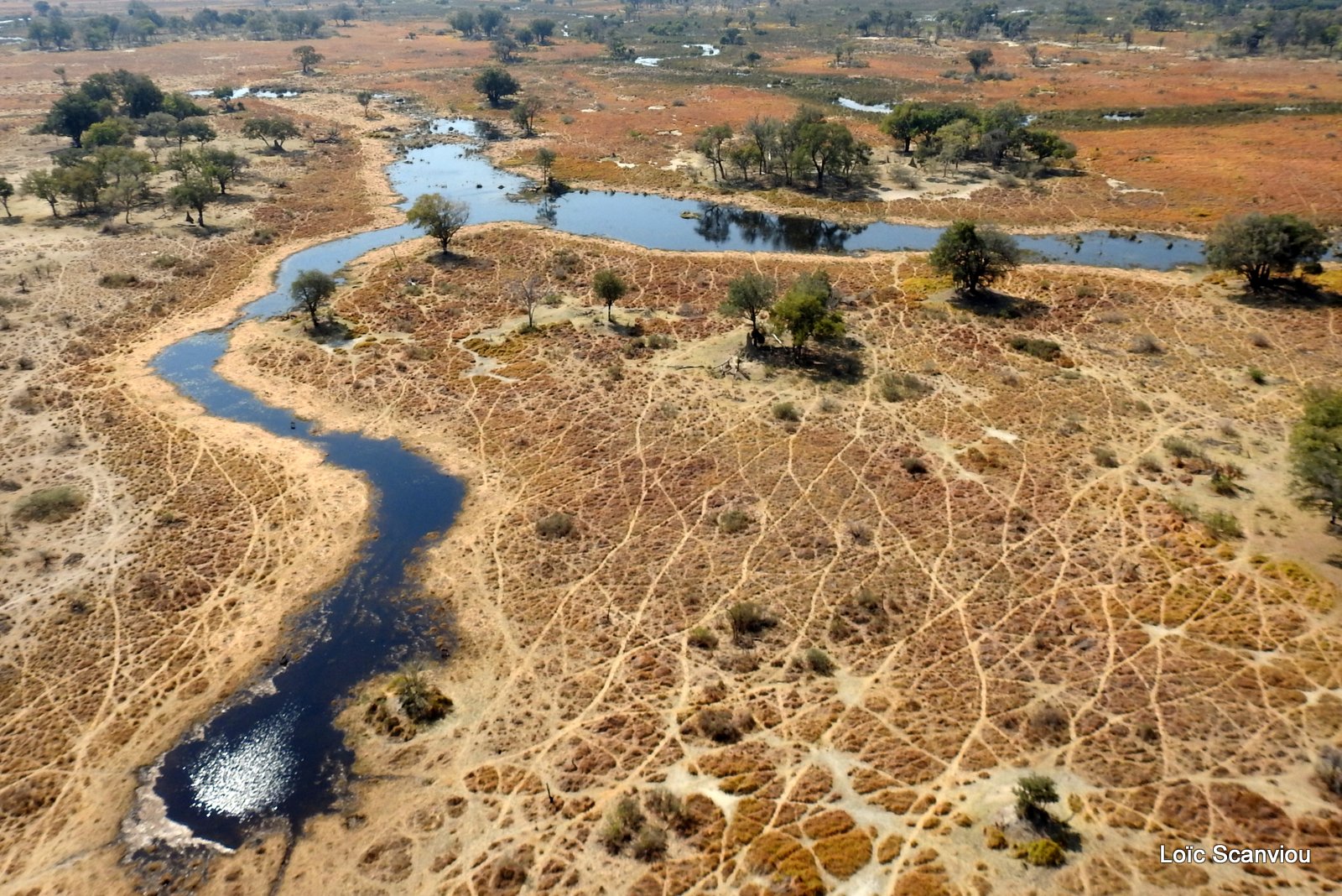Okavango (98)