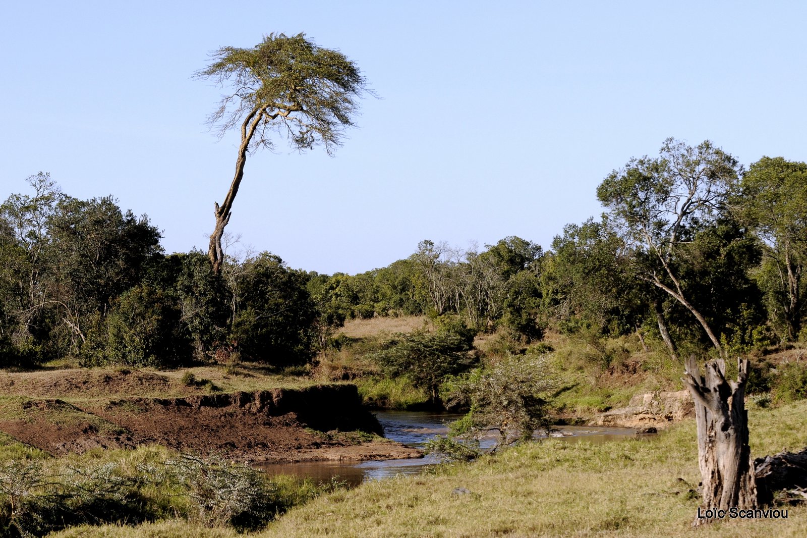 Ol Pejeta (1)