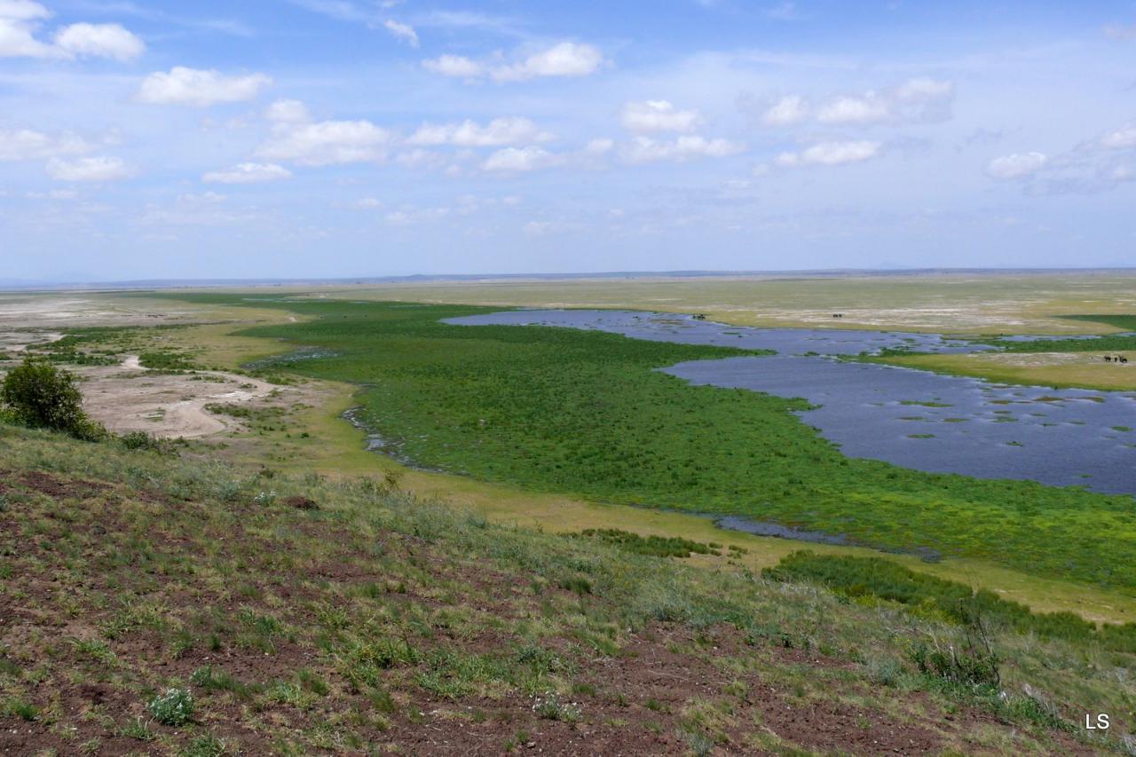 Amboseli (1)