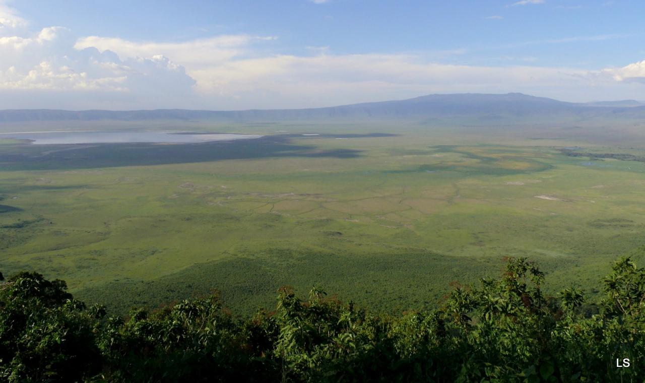 Ngorongoro (1)