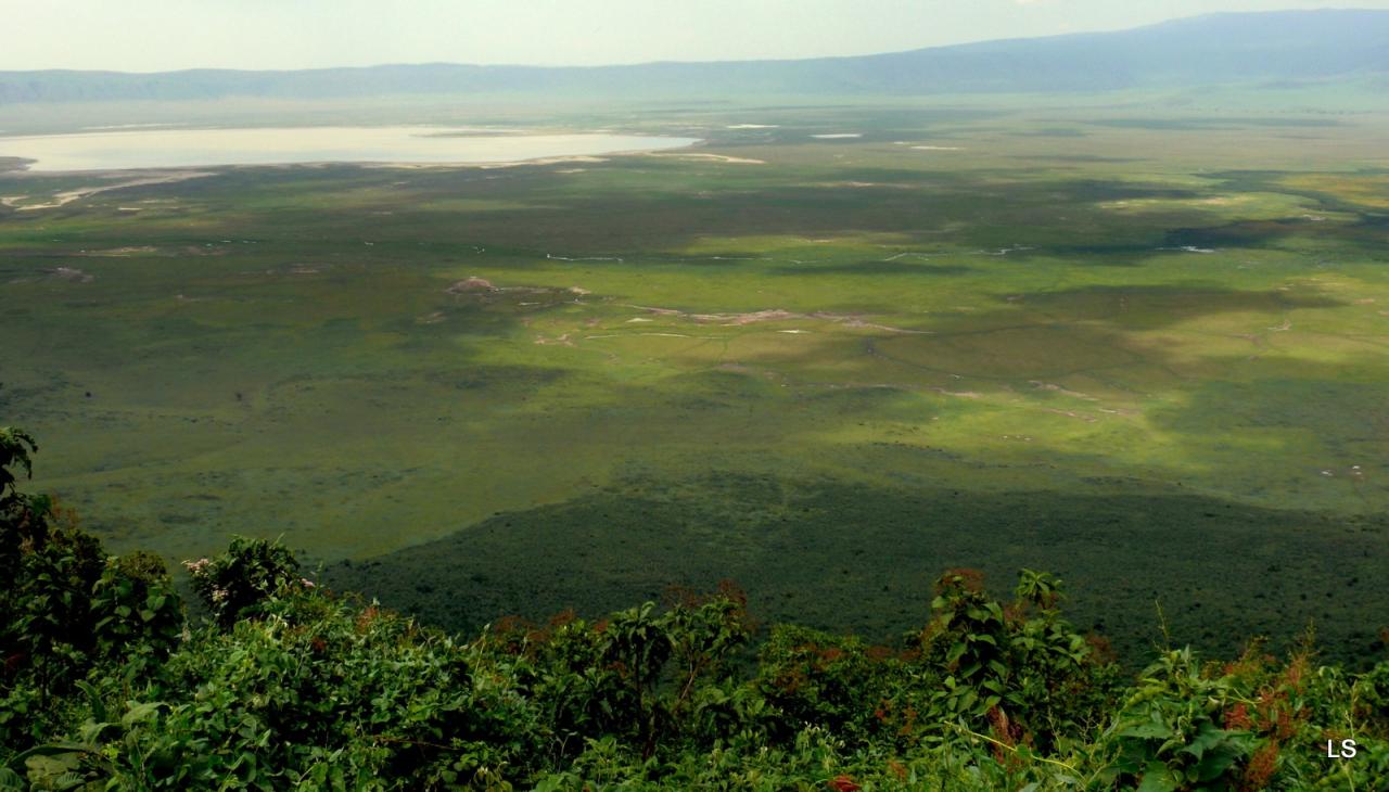 Ngorongoro (2)