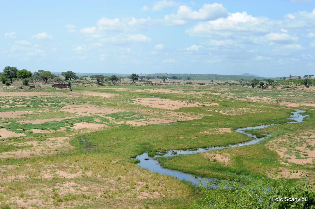 Ruaha (11)