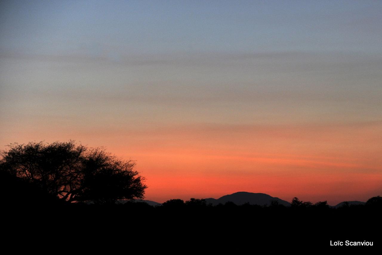 Ruaha (15)