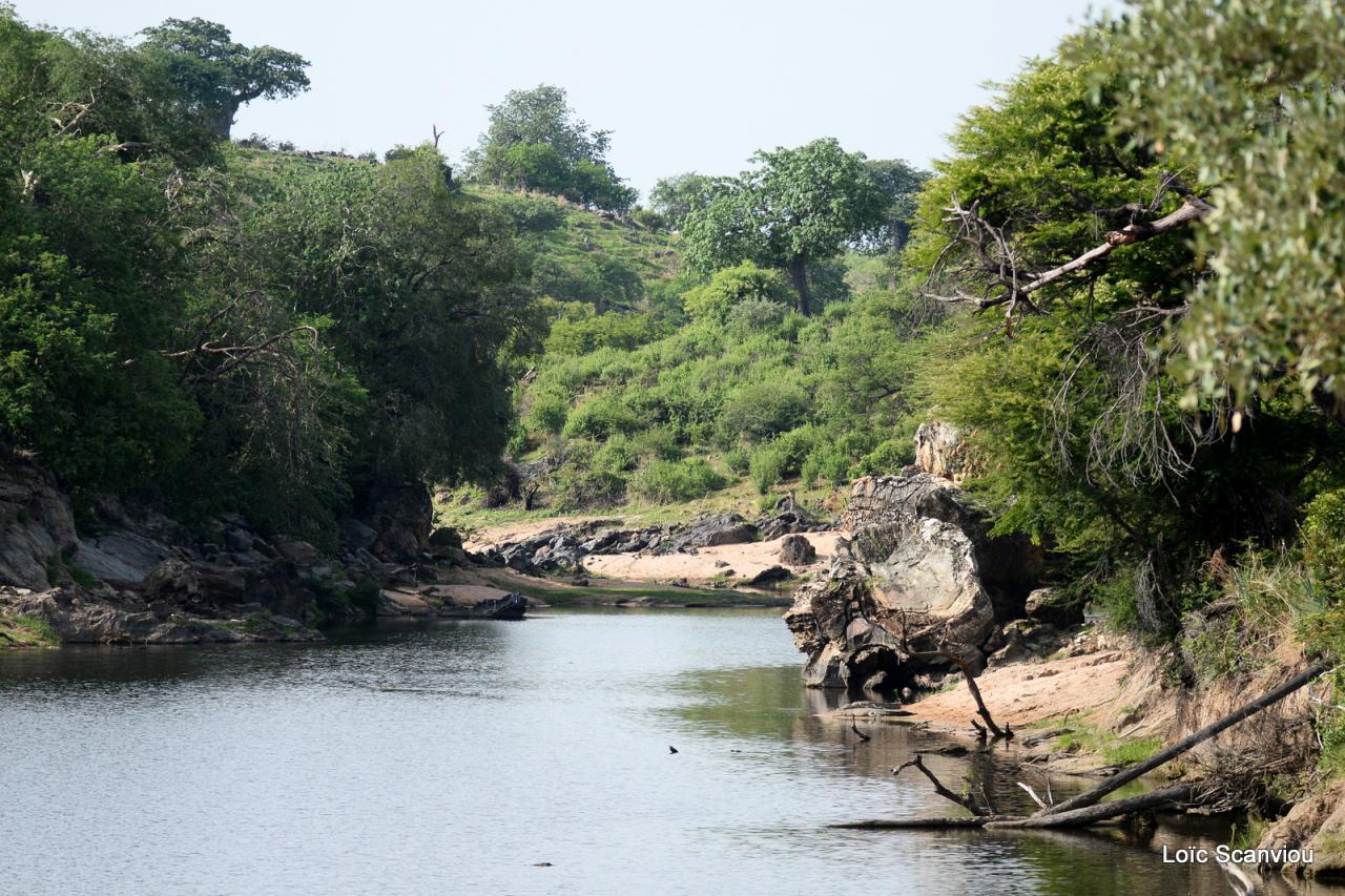 Ruaha (31)