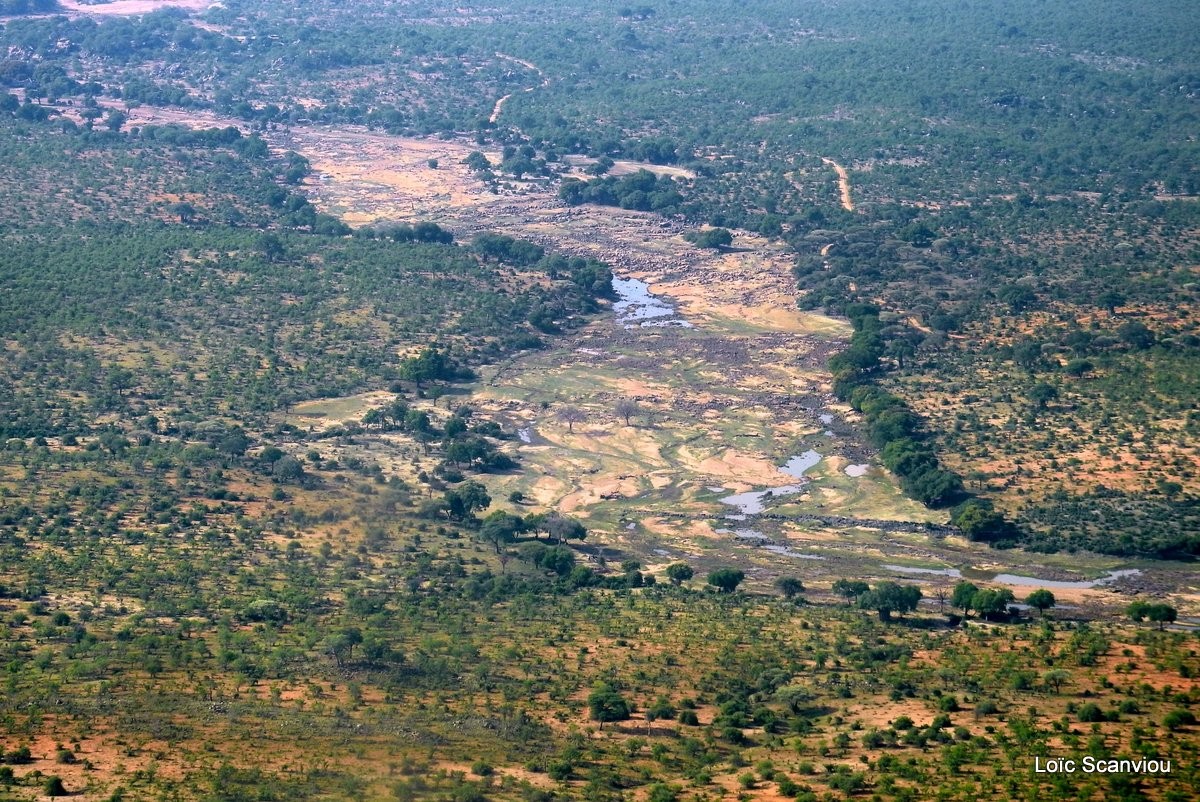 Ruaha vu du ciel (5)