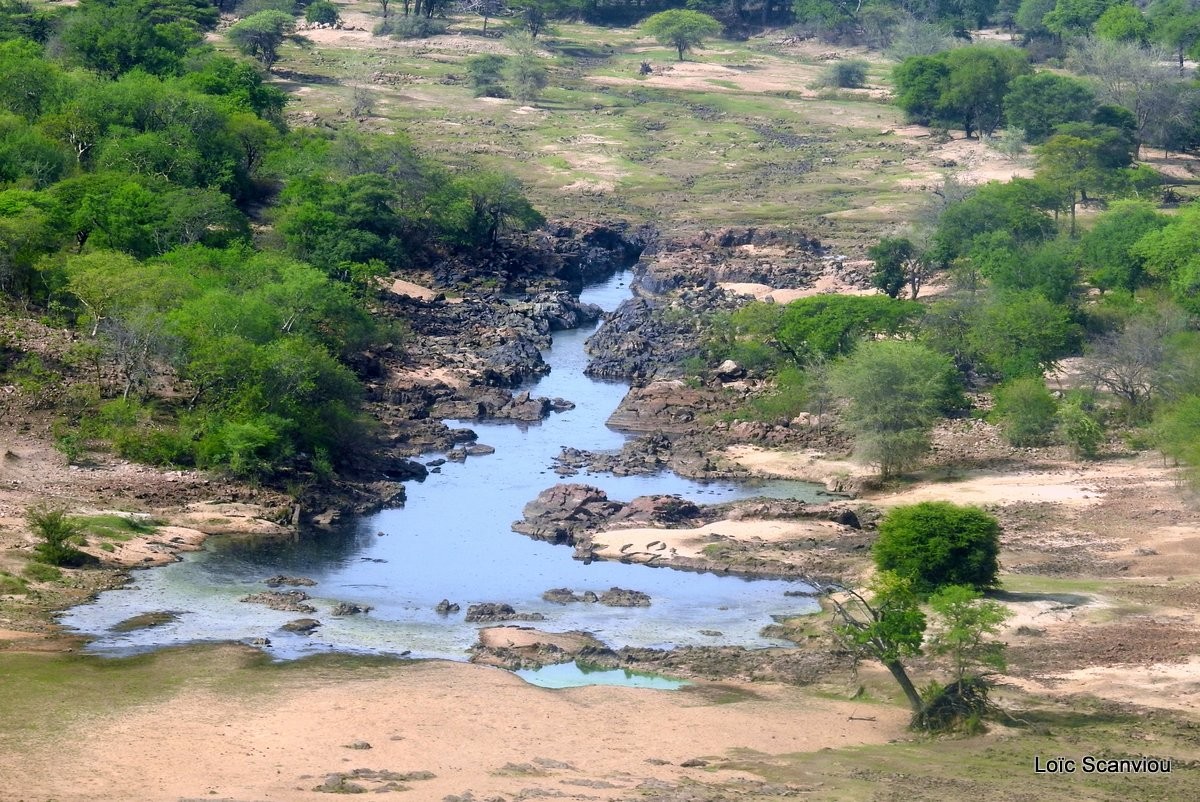 Ruaha vu du ciel (2)