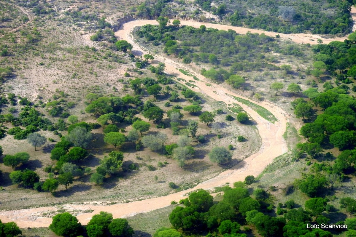 Ruaha vu du ciel (1)