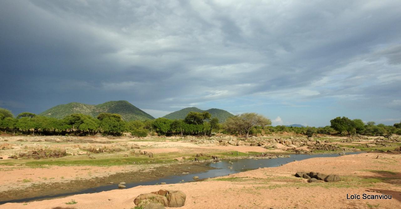 Ruaha (27)
