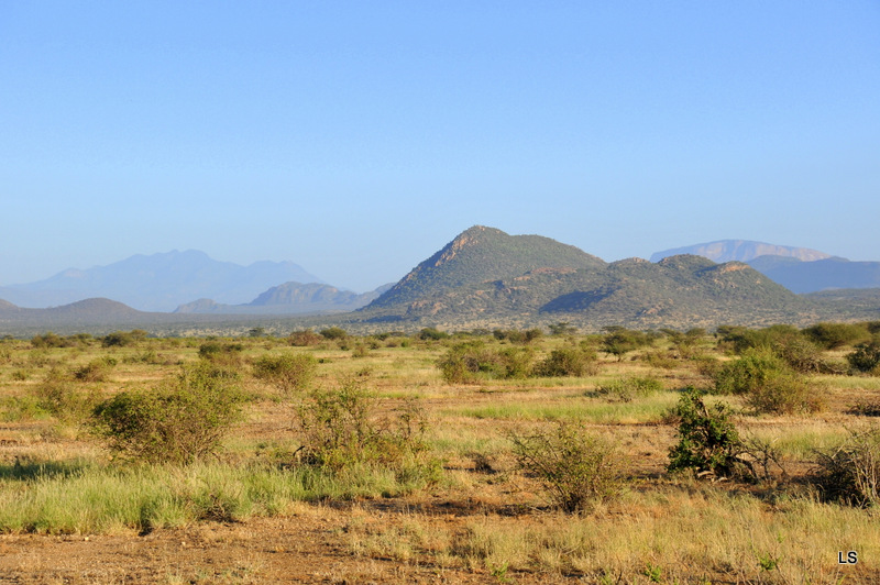 Samburu (9)