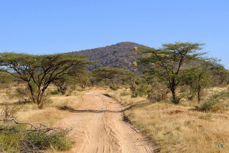 Samburu (12)