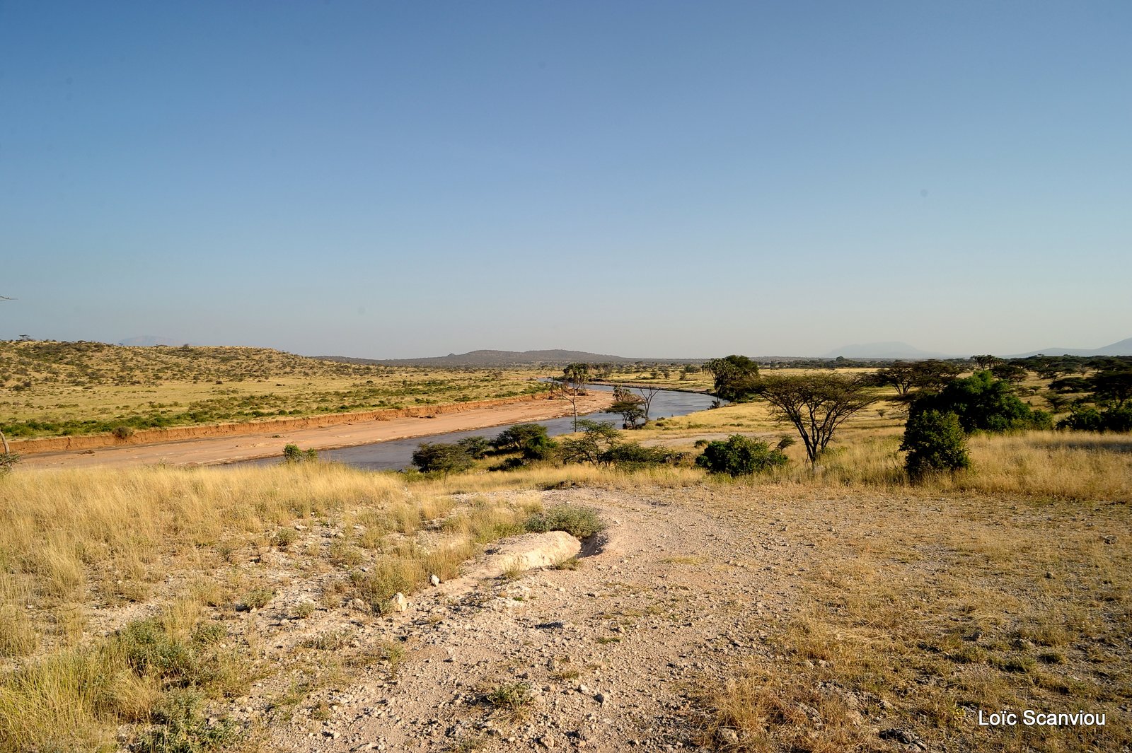 Samburu (12)