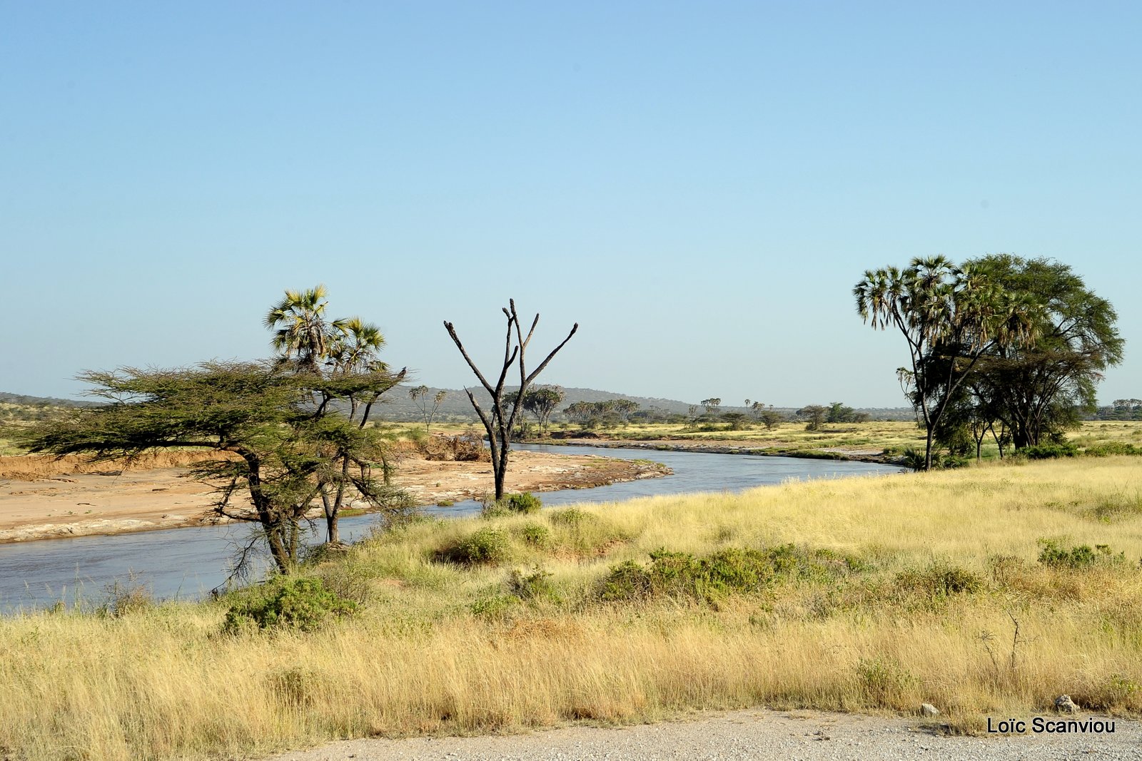 Samburu (14)