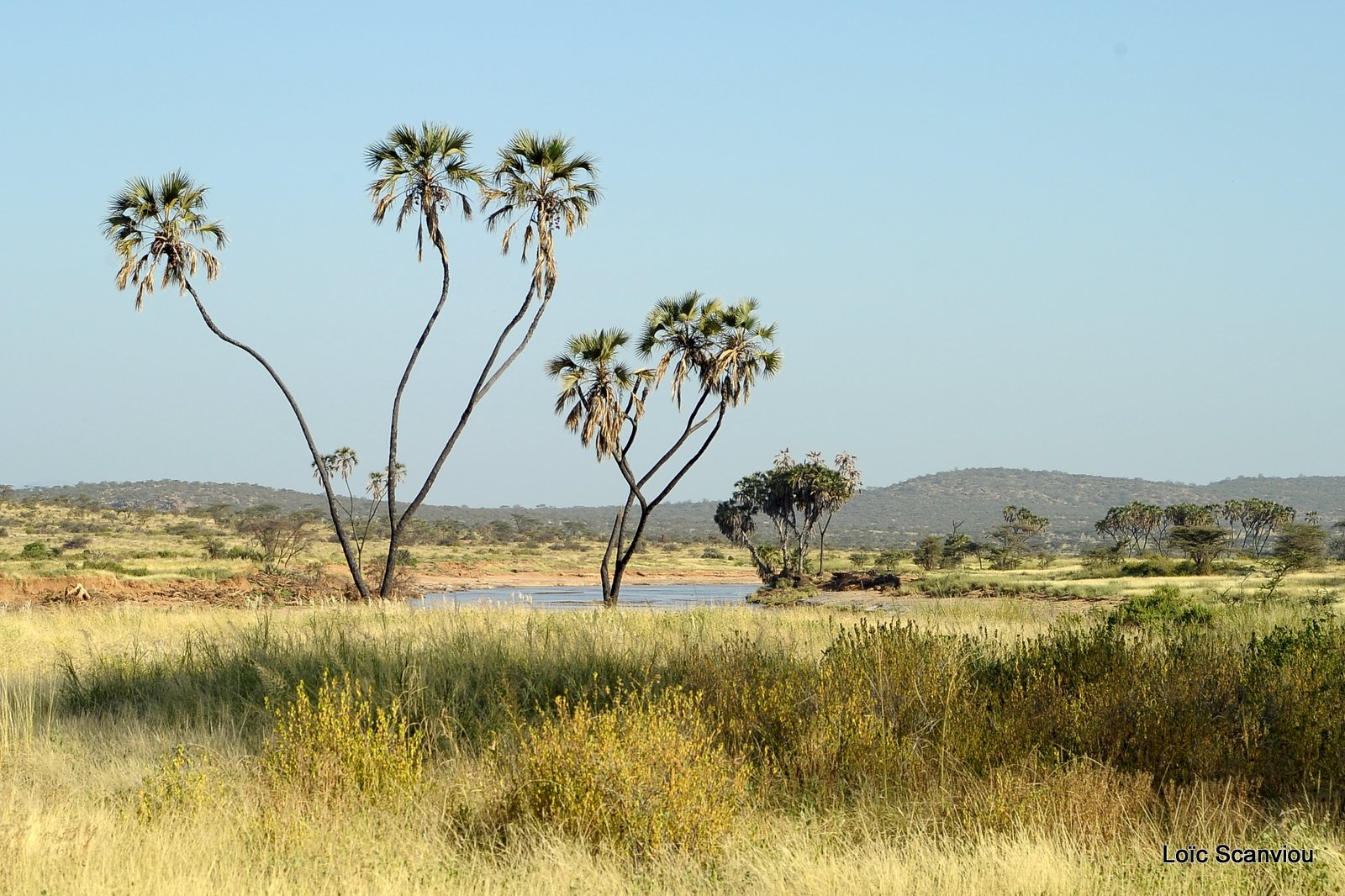 Samburu (15)