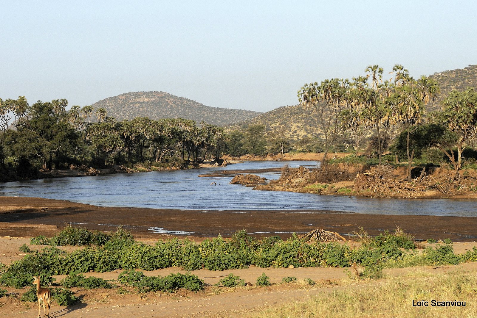 Samburu (18)