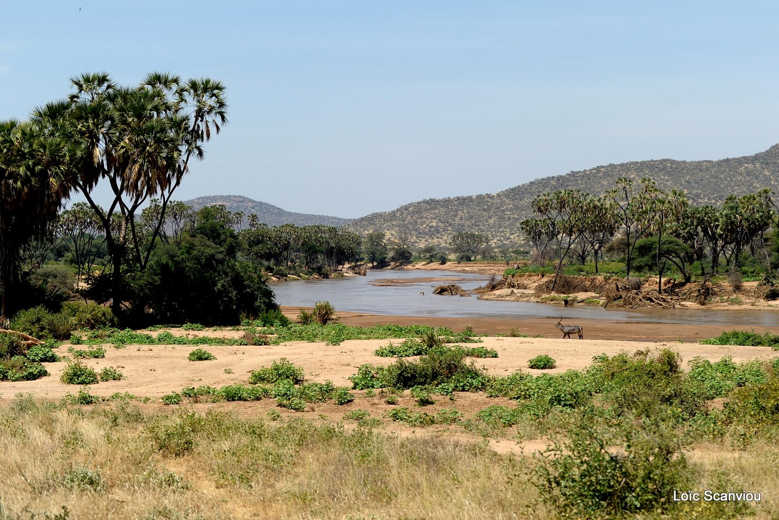 Samburu (2)