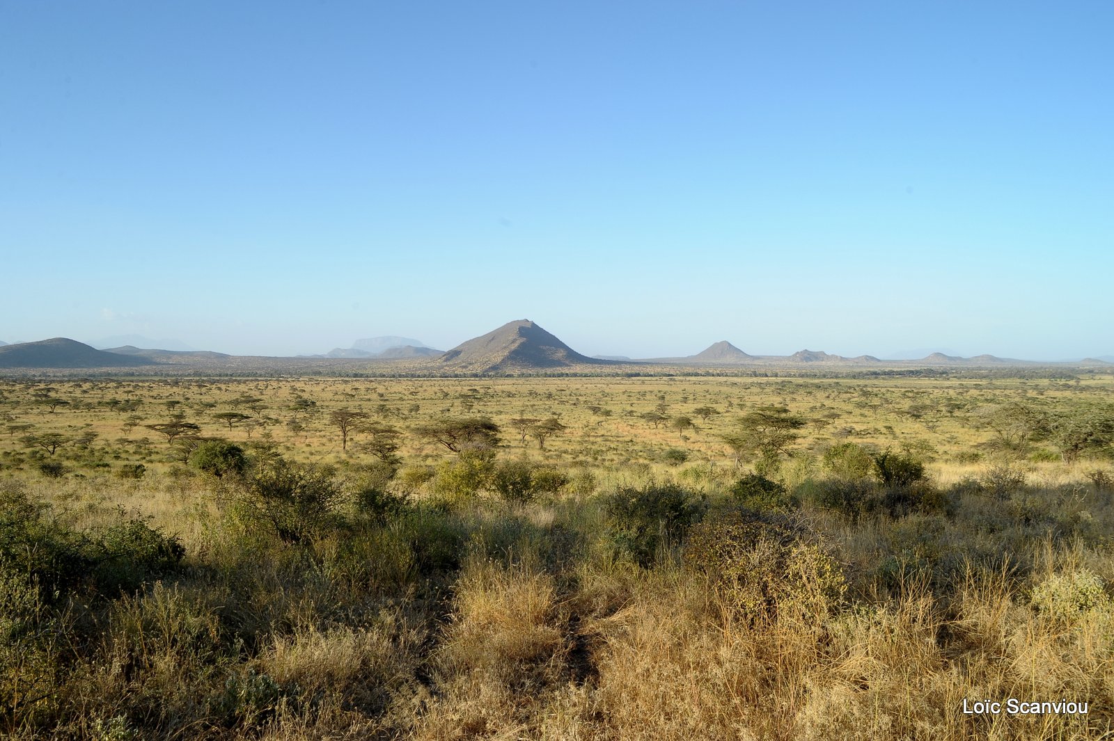 Samburu (22)
