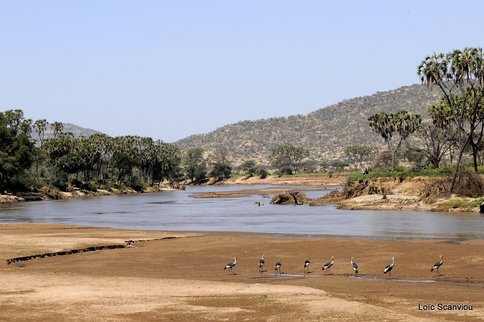 Samburu (25)