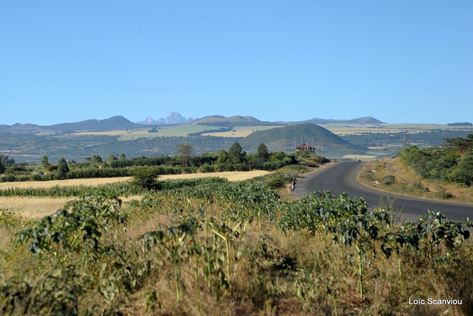 Samburu (26)