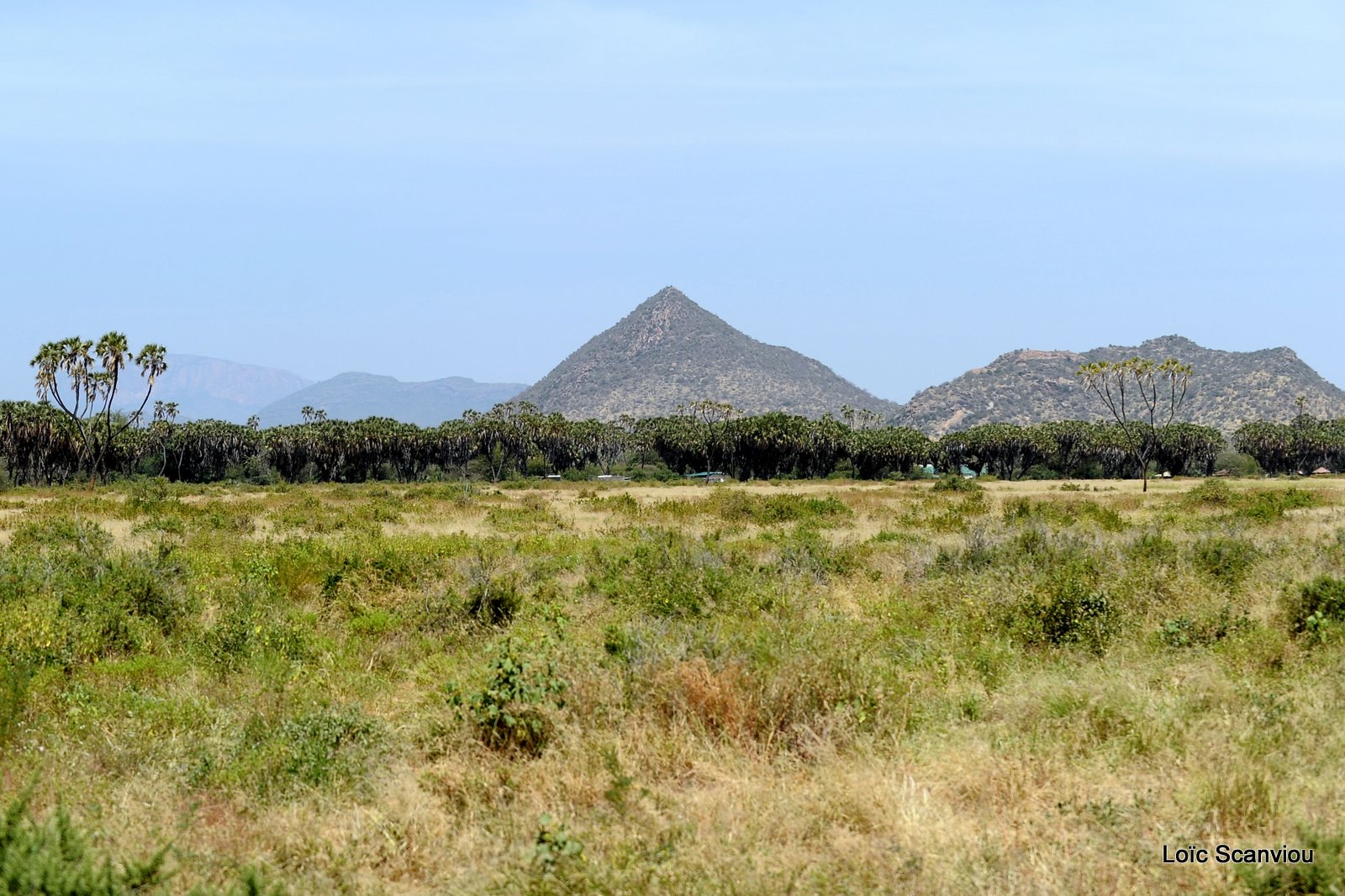 Samburu (4)