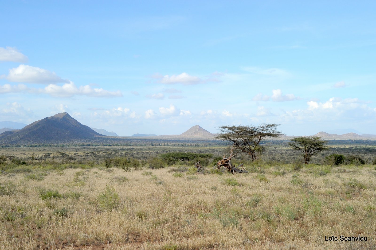 Samburu (15)