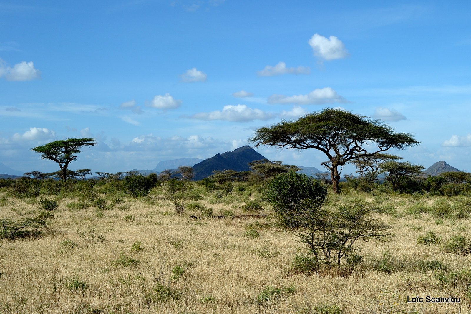 Samburu (23)