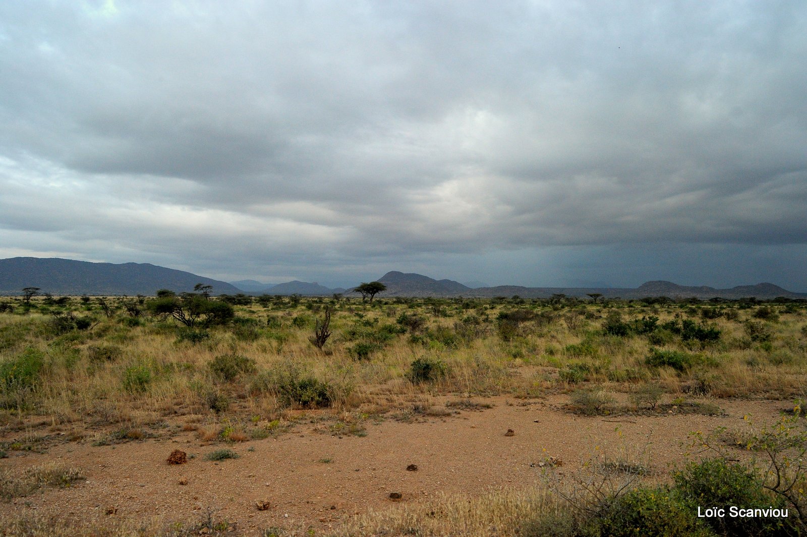 Samburu (11)