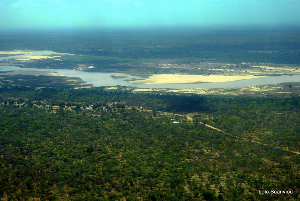 Fleuve Rufiji/Rufiji River (1)