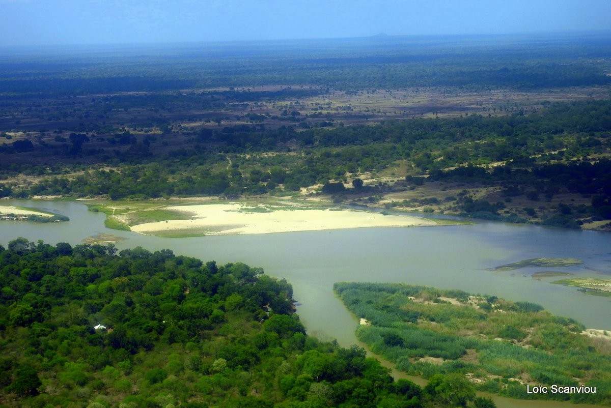 Fleuve Rufiji/Rufiji River (2)