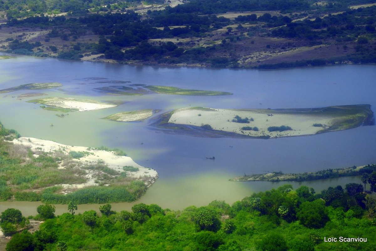 Fleuve Rufiji/Rufiji River (3)