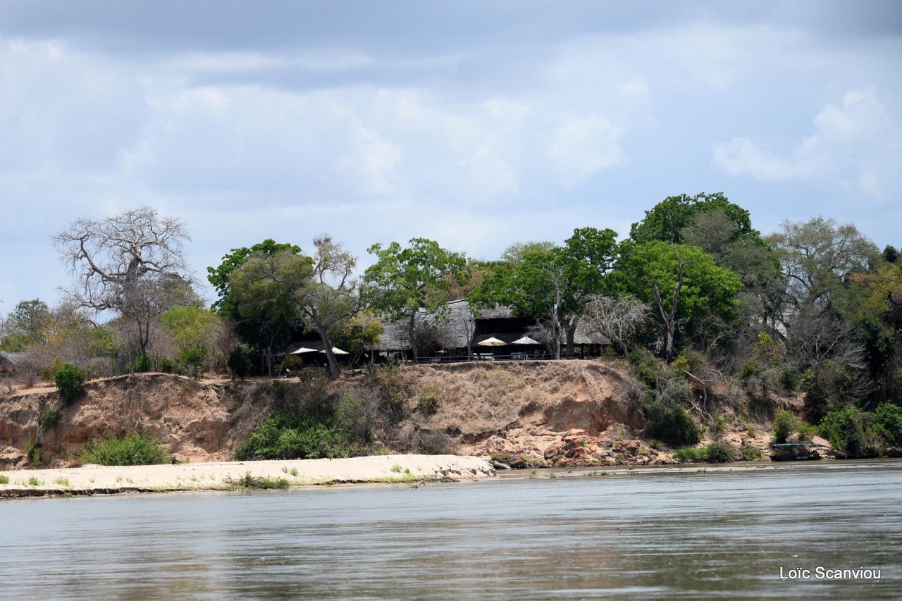 Selous (13)