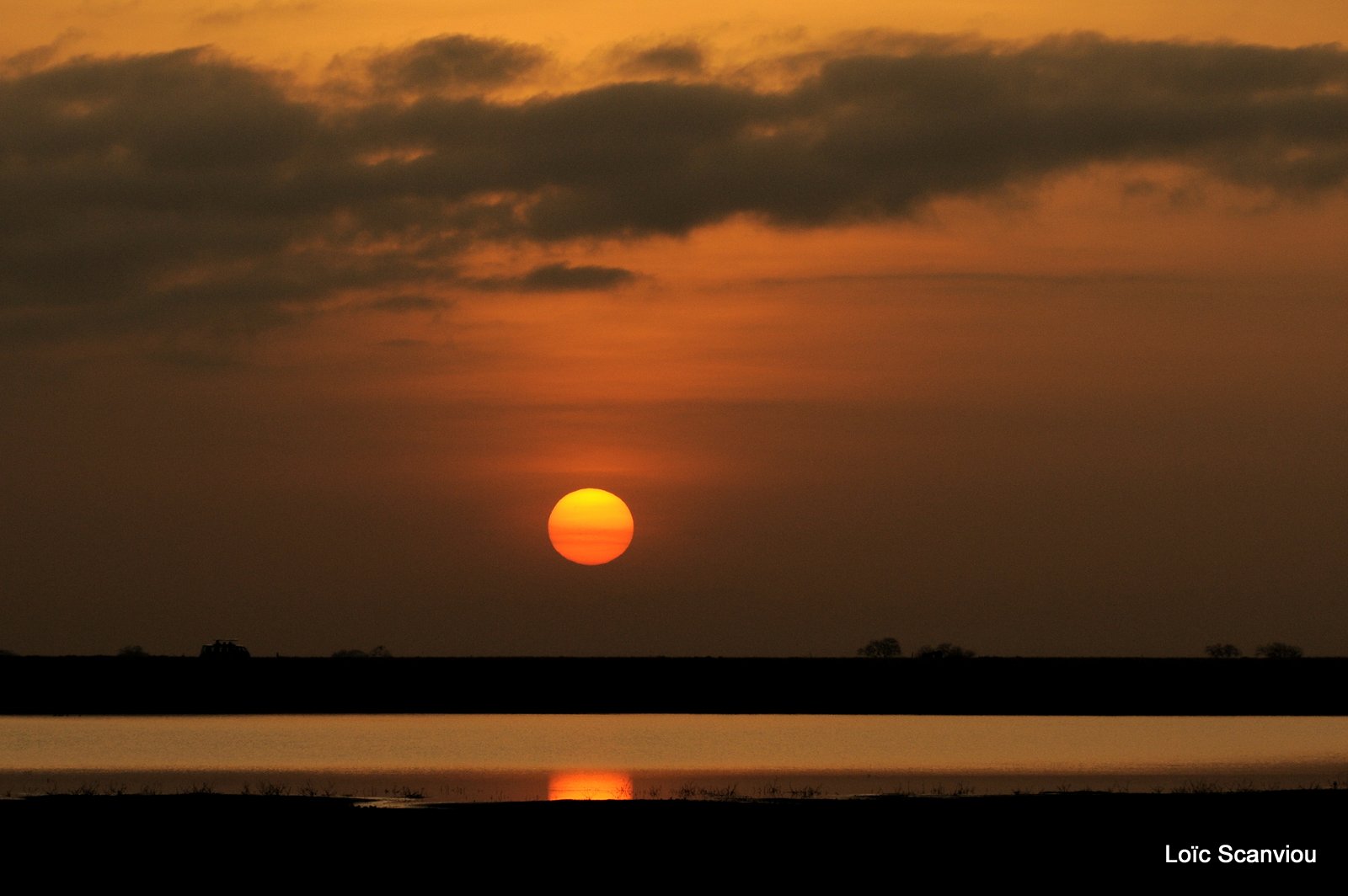 Tsavo East 2012