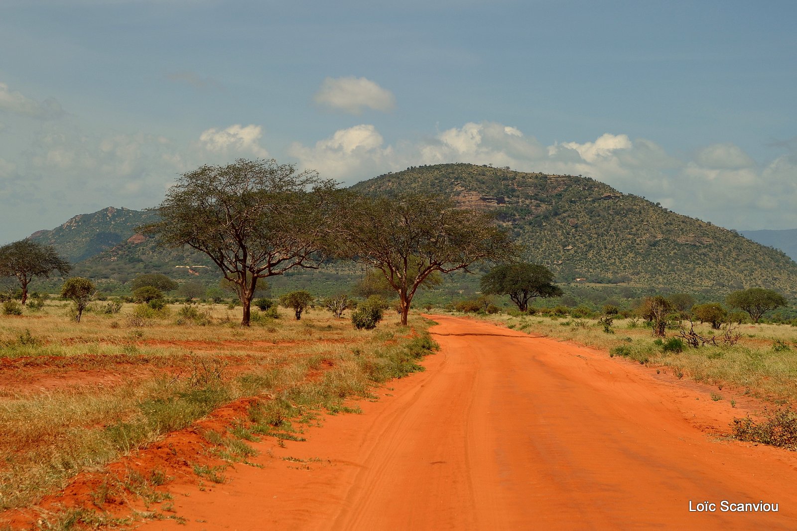 Tsavo East 2012