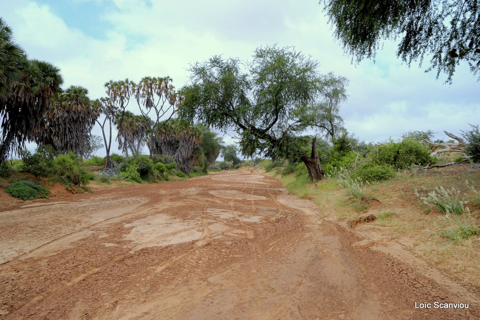 Tsavo East 2012