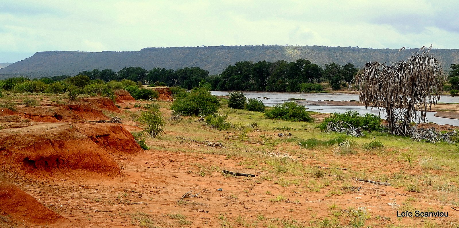 Tsavo East 2012