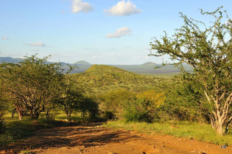 Tsavo West (13)