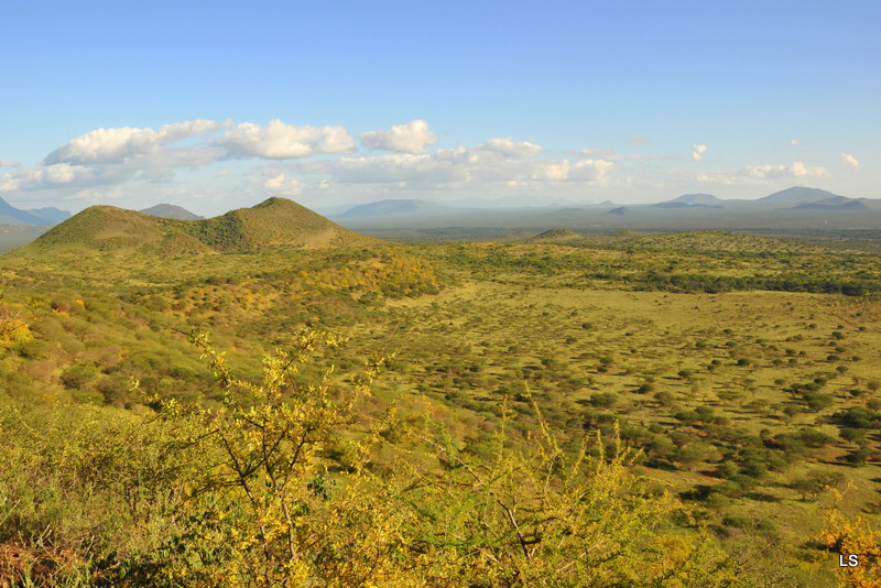 Tsavo West (14)