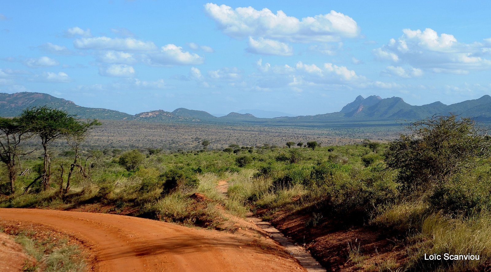 Tsavo West (2)