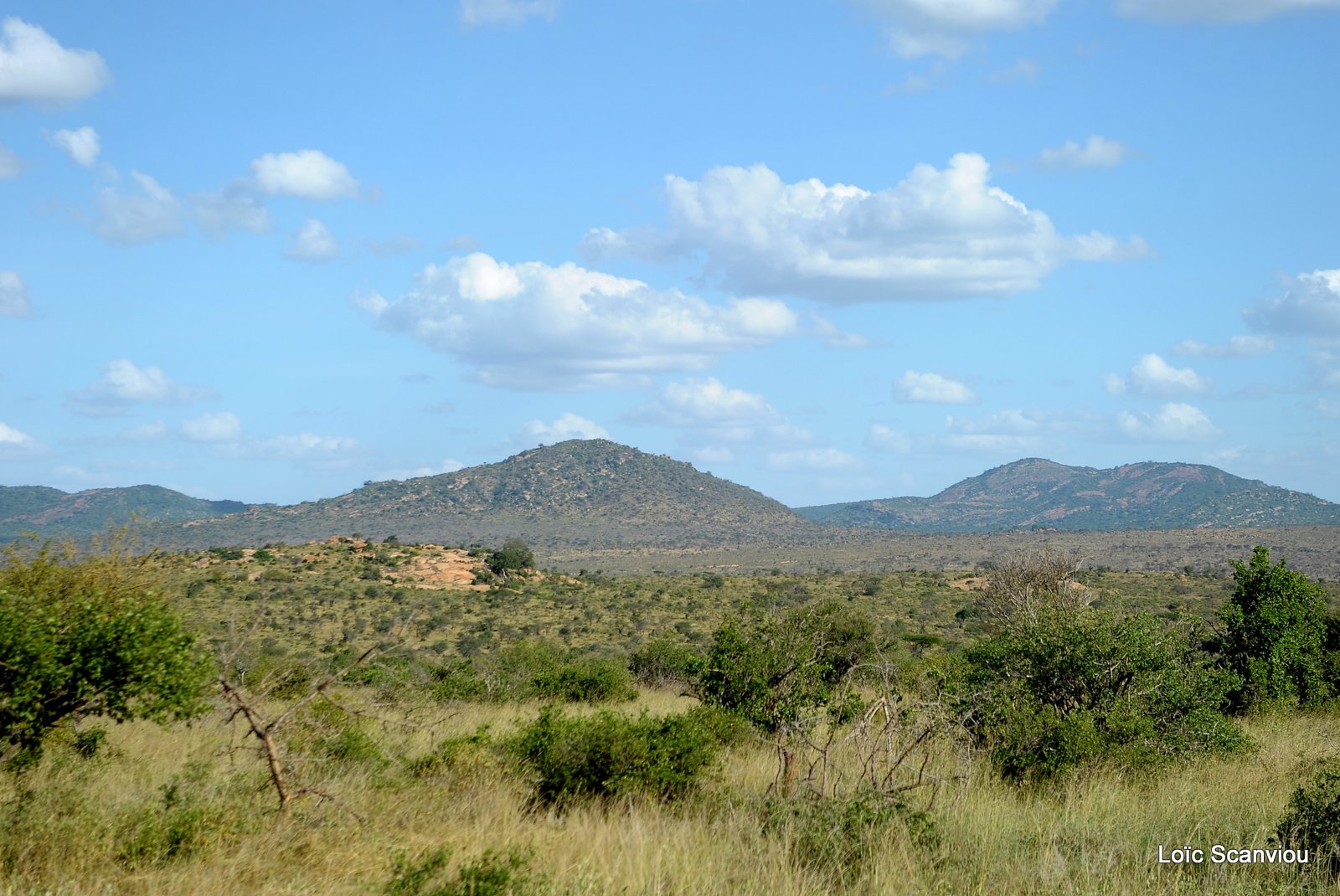 Tsavo West (3)