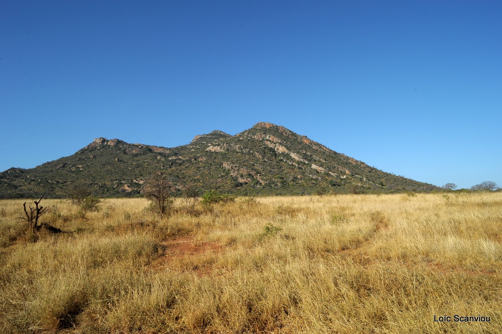 Tsavo West (4)