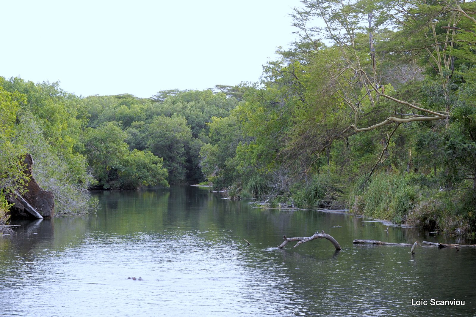 Tsavo West (16)