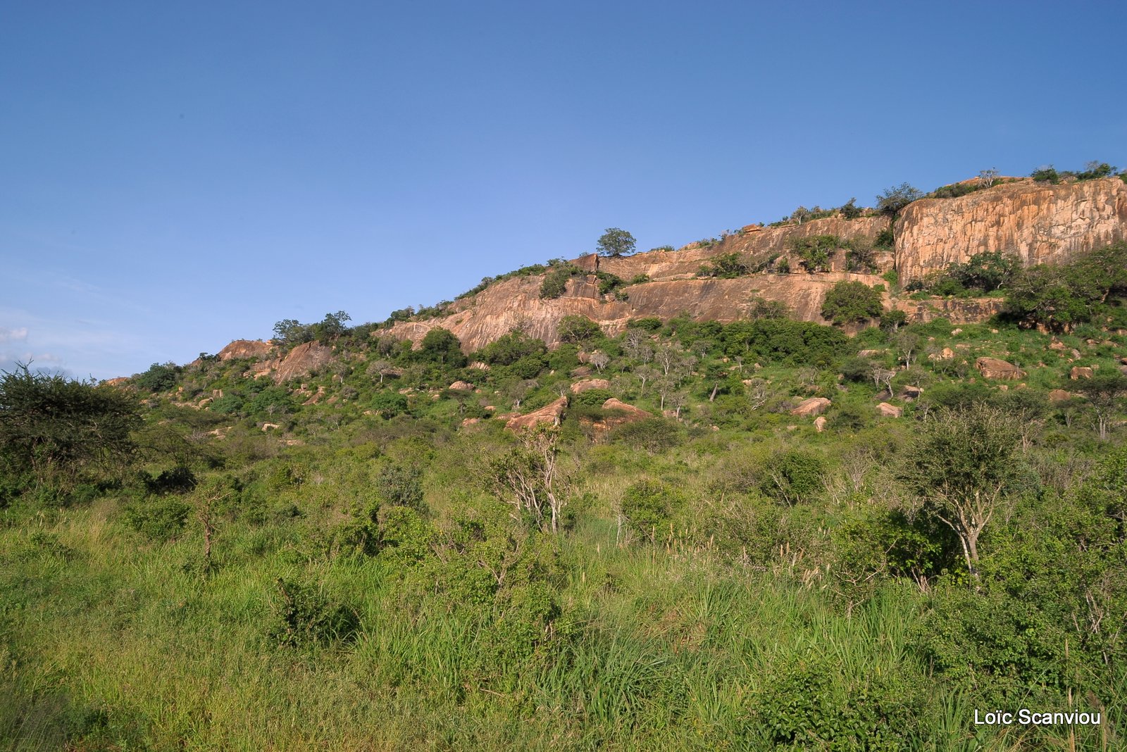 Tsavo West (11)