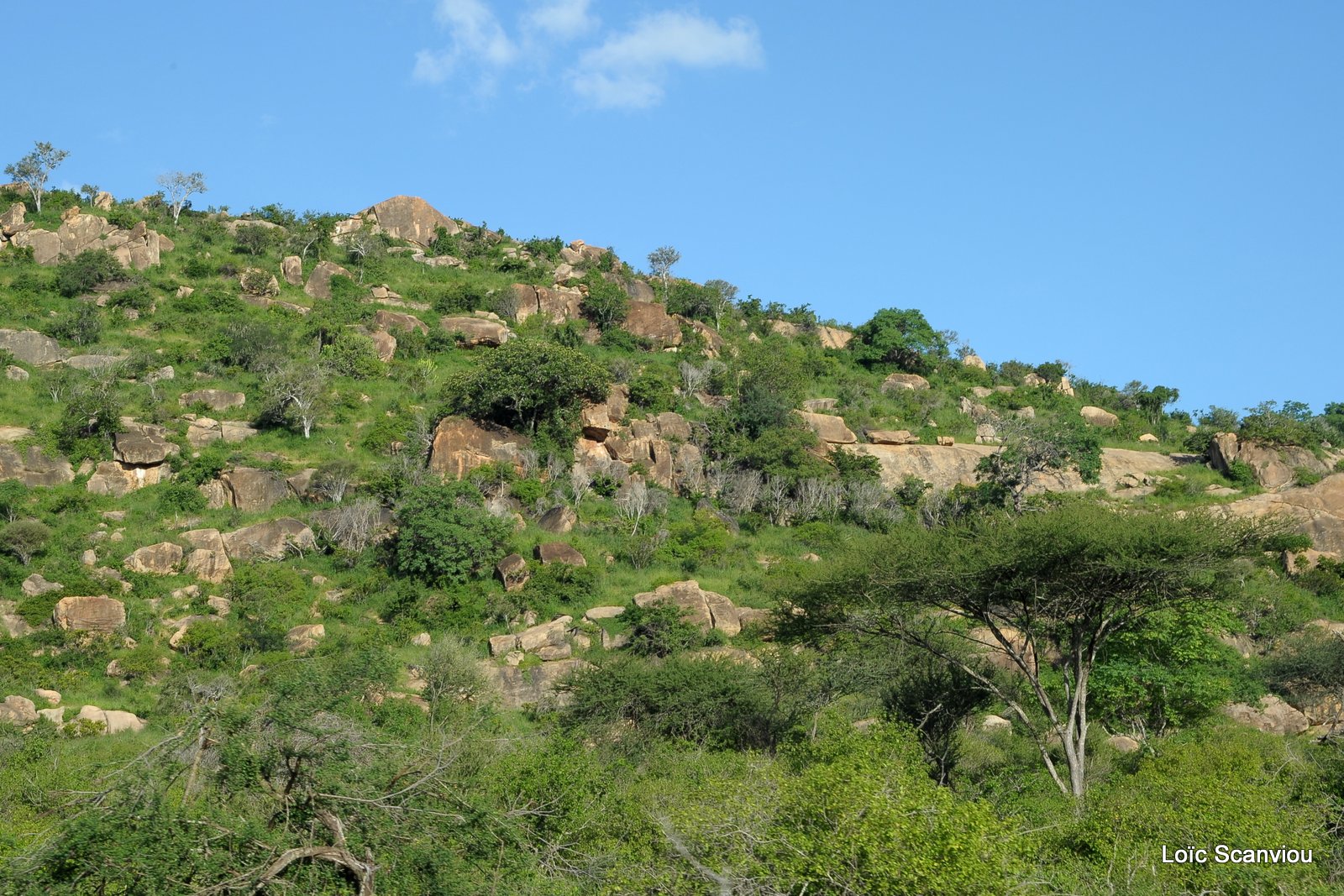 Tsavo West (13)