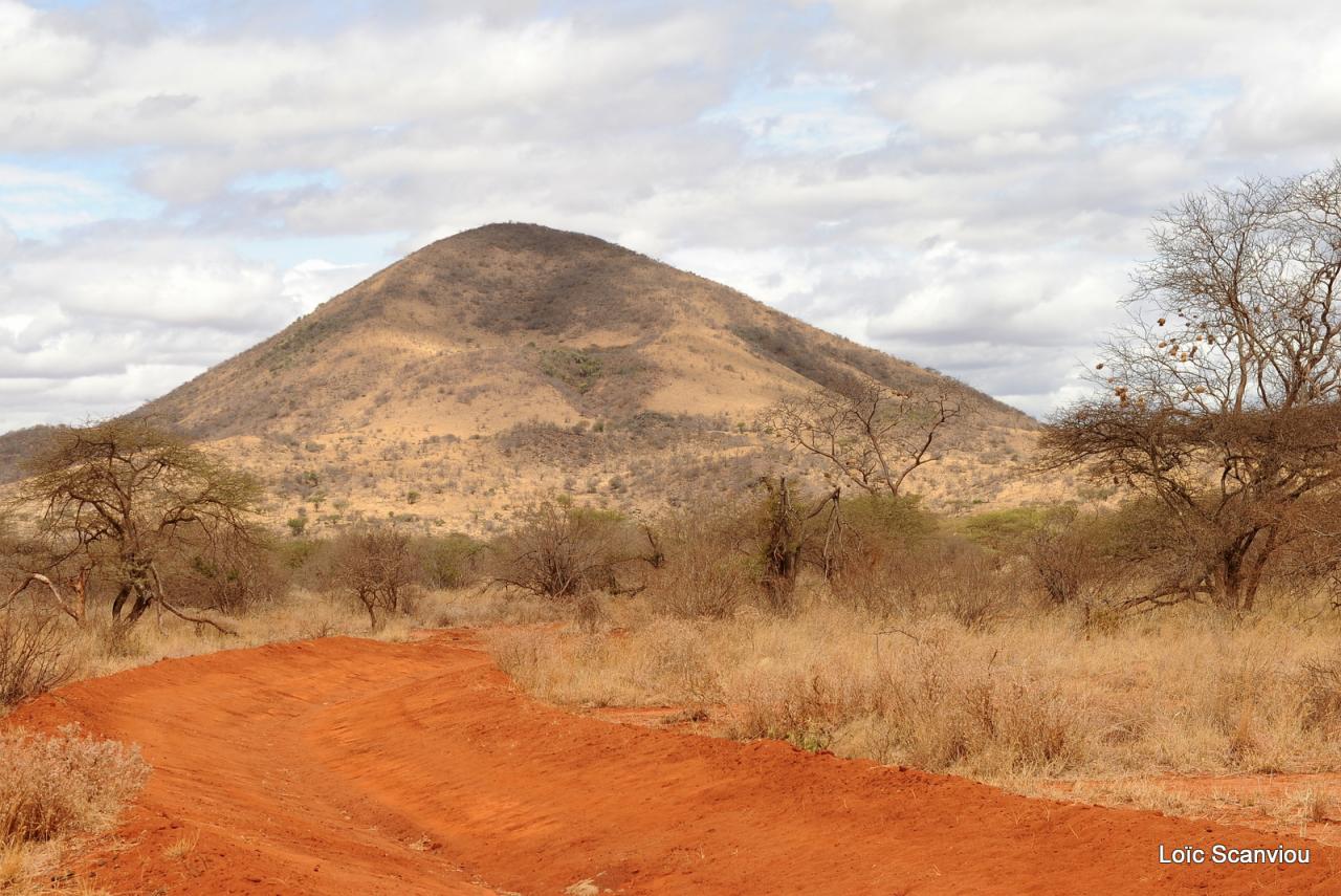 Tsavo West (5)