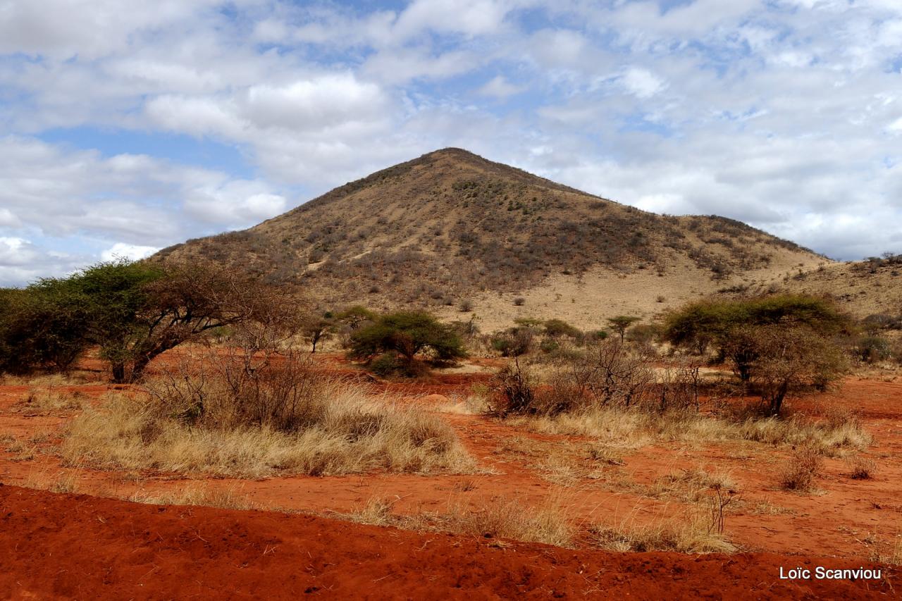 Tsavo West (6)
