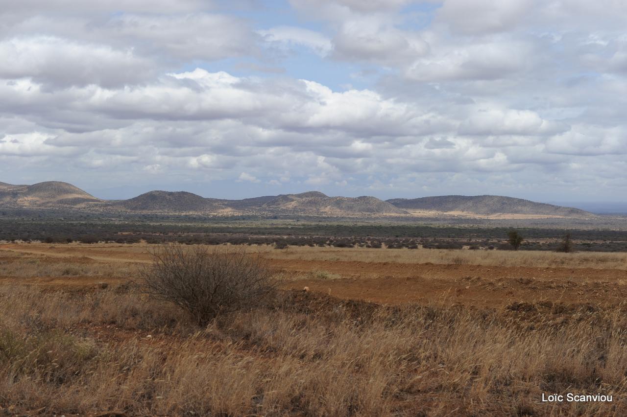 Tsavo West (8)