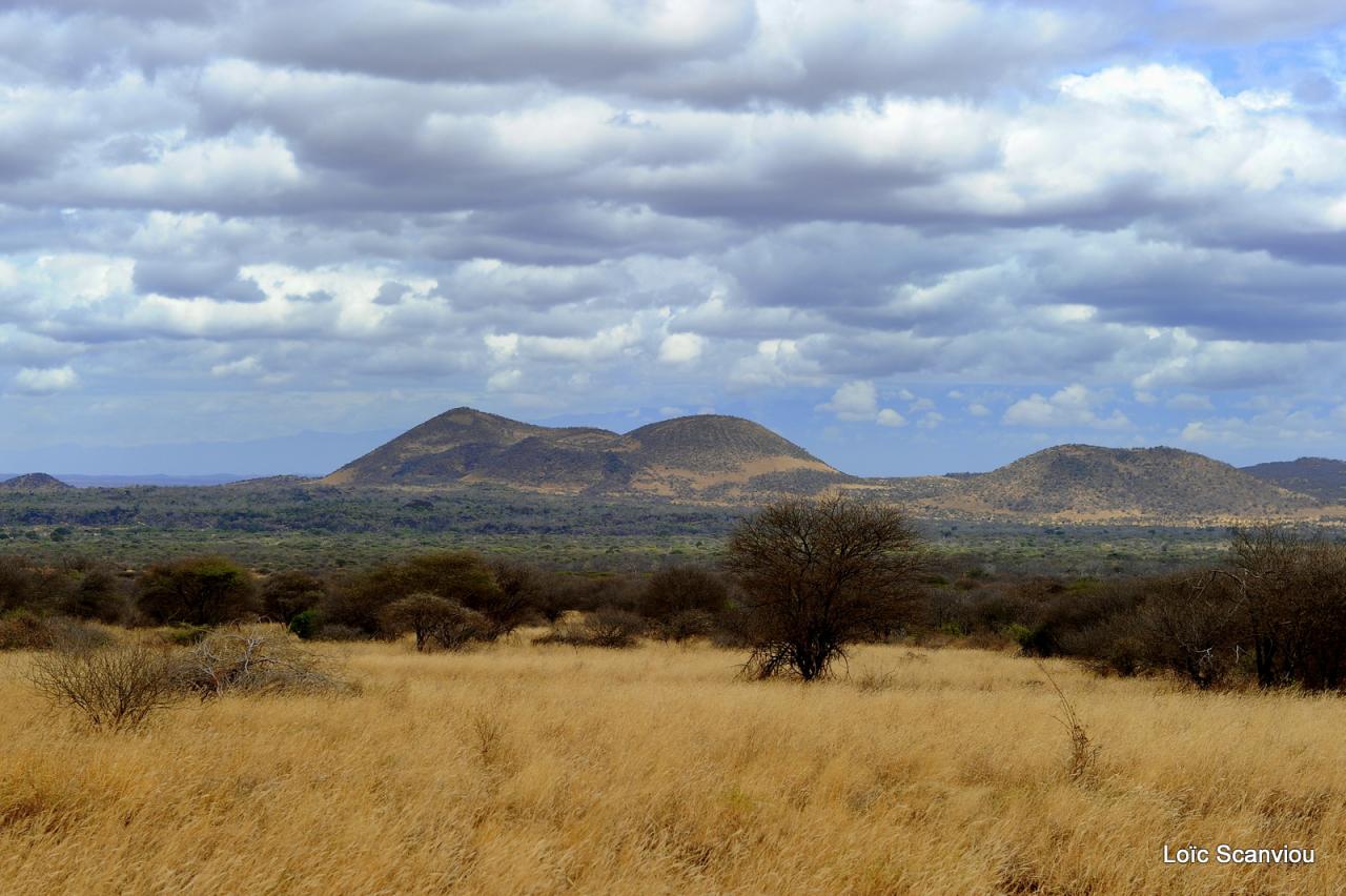 Tsavo West (9)