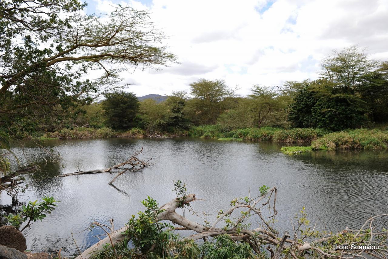 Tsavo West (10)