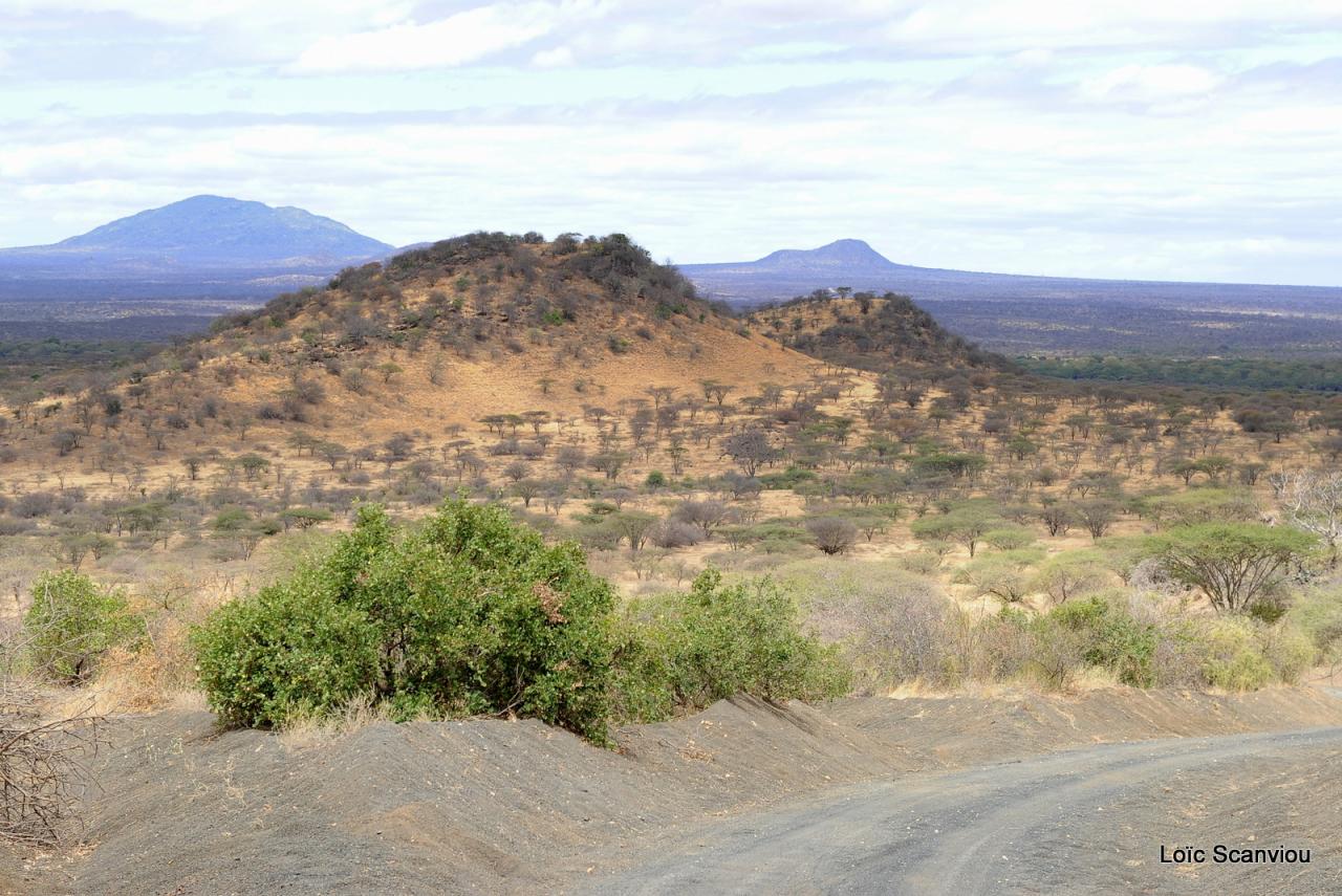 Tsavo West (11)
